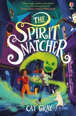 The Spirit Snatcher (Paperback) Cat Gray (author), David Dean (designer)