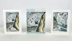 Notecards and Postcards