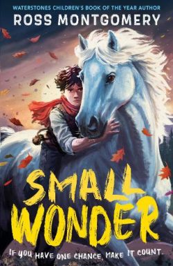 Small Wonder (Paperback) Ross Montgomery (author)